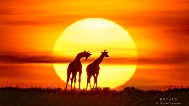 Ilkerin Camp Maasai Mara Bed & Breakfast Sekenani Dış mekan fotoğraf