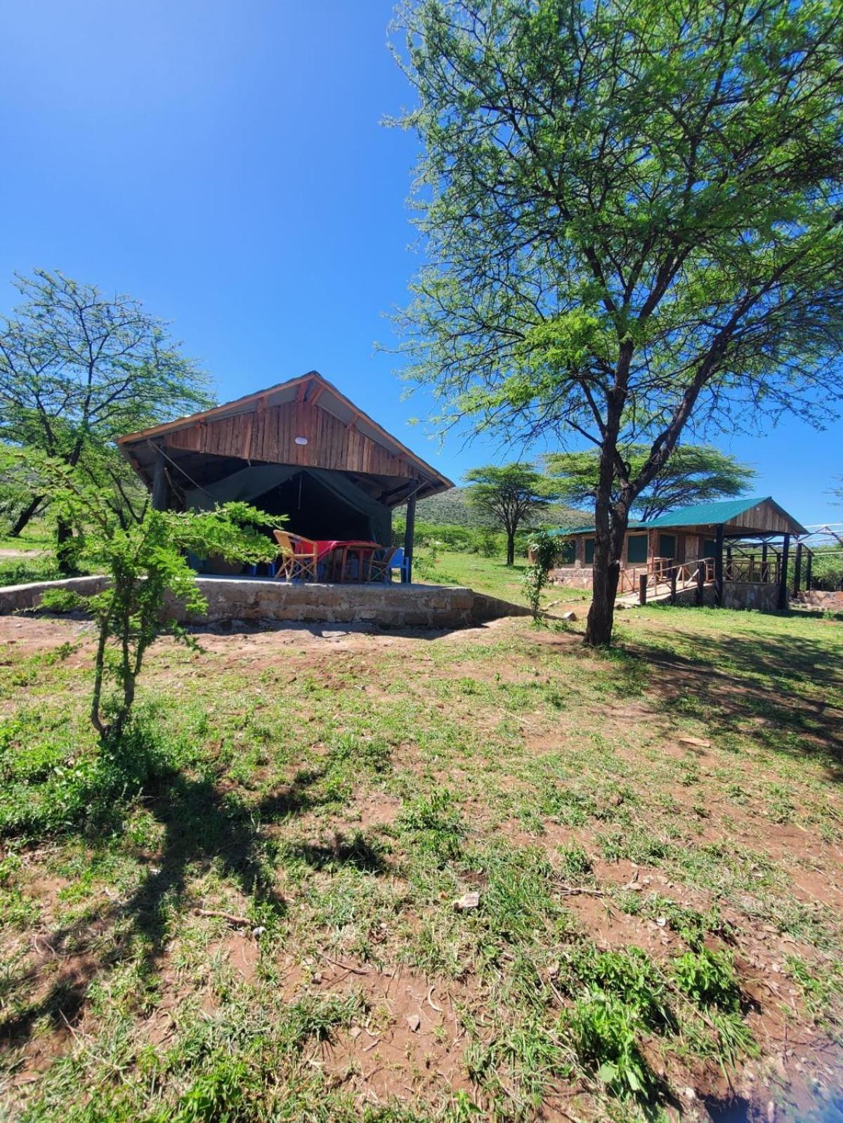 Ilkerin Camp Maasai Mara Bed & Breakfast Sekenani Dış mekan fotoğraf